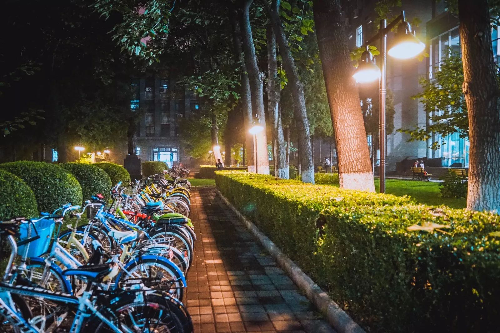 把北师大的夜,唱到你心间