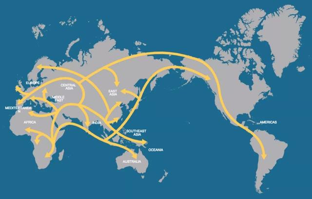 在中国的非洲人口_非洲与中国人口(2)