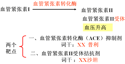 一,血管紧张素转化酶(ace)抑制剂