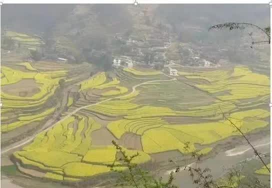 务川婚纱照_务川县(3)