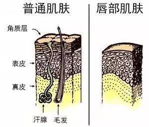 02 干唇救急 嘴巴