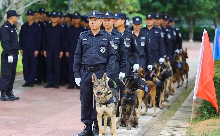 海南公安机关第一届警犬对抗赛在海口举行【内含精彩图片】