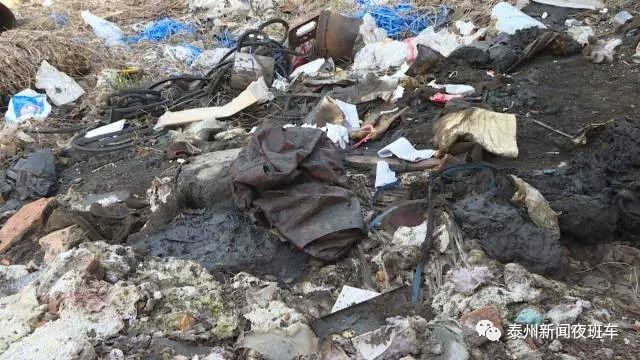 263泰州在行动 靖江市西来镇:沿河两岸似垃圾场 环境整治迫在眉睫图片