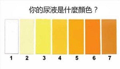 小便别急着冲从尿液颜色能看癌症和疾病信号看了保命