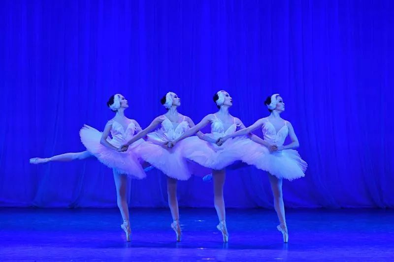 芭蕾《四小天鹅》 摄影:叶进