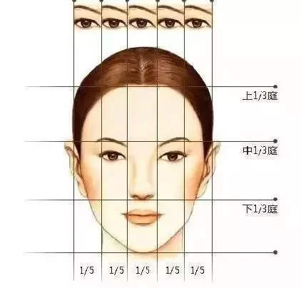 在我们中国人心中,最完美的脸型叫" 三庭五眼",大概长这样 ▼
