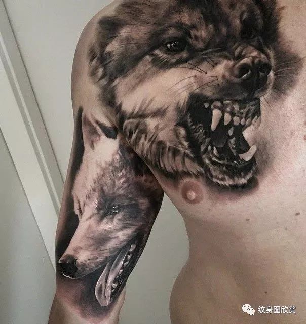 动物纹身 - 帅哥狼纹身图片