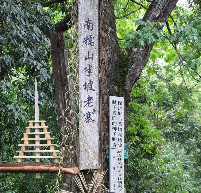 盘点南糯山有哪些名寨好茶建议收藏