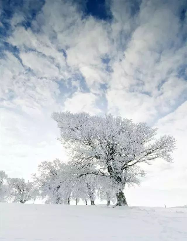 观澄| 虽无大雪纷飞,但见人间冷暖