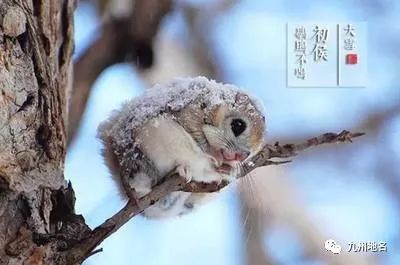 百科丨雪纷飞,仲冬始,大雪的这些民俗文化你知道吗?