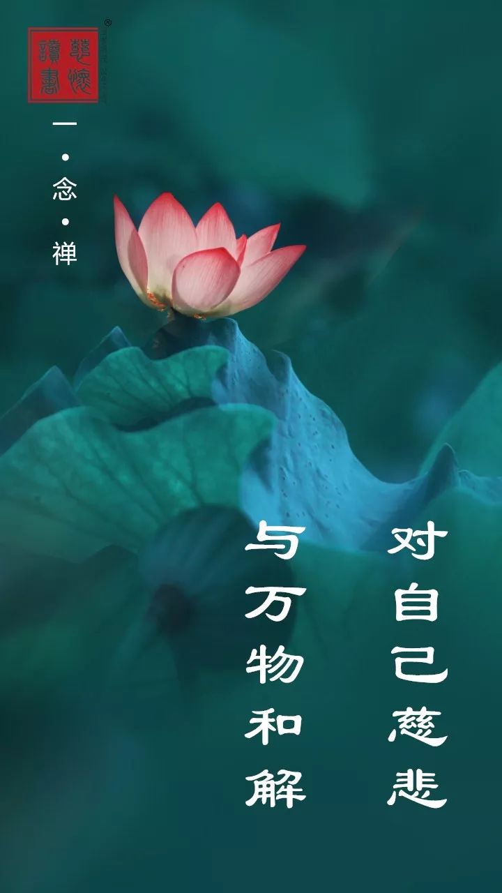 一念禅 | 对自己慈悲,与万物和解