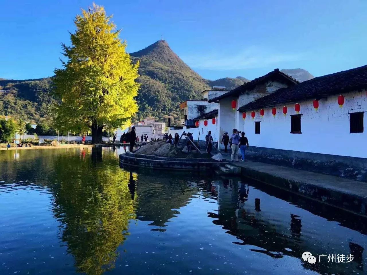 10南国深秋风景线,第一届阳山小江