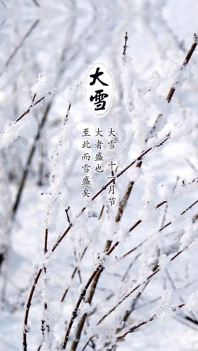 绝美诗画,大雪天!