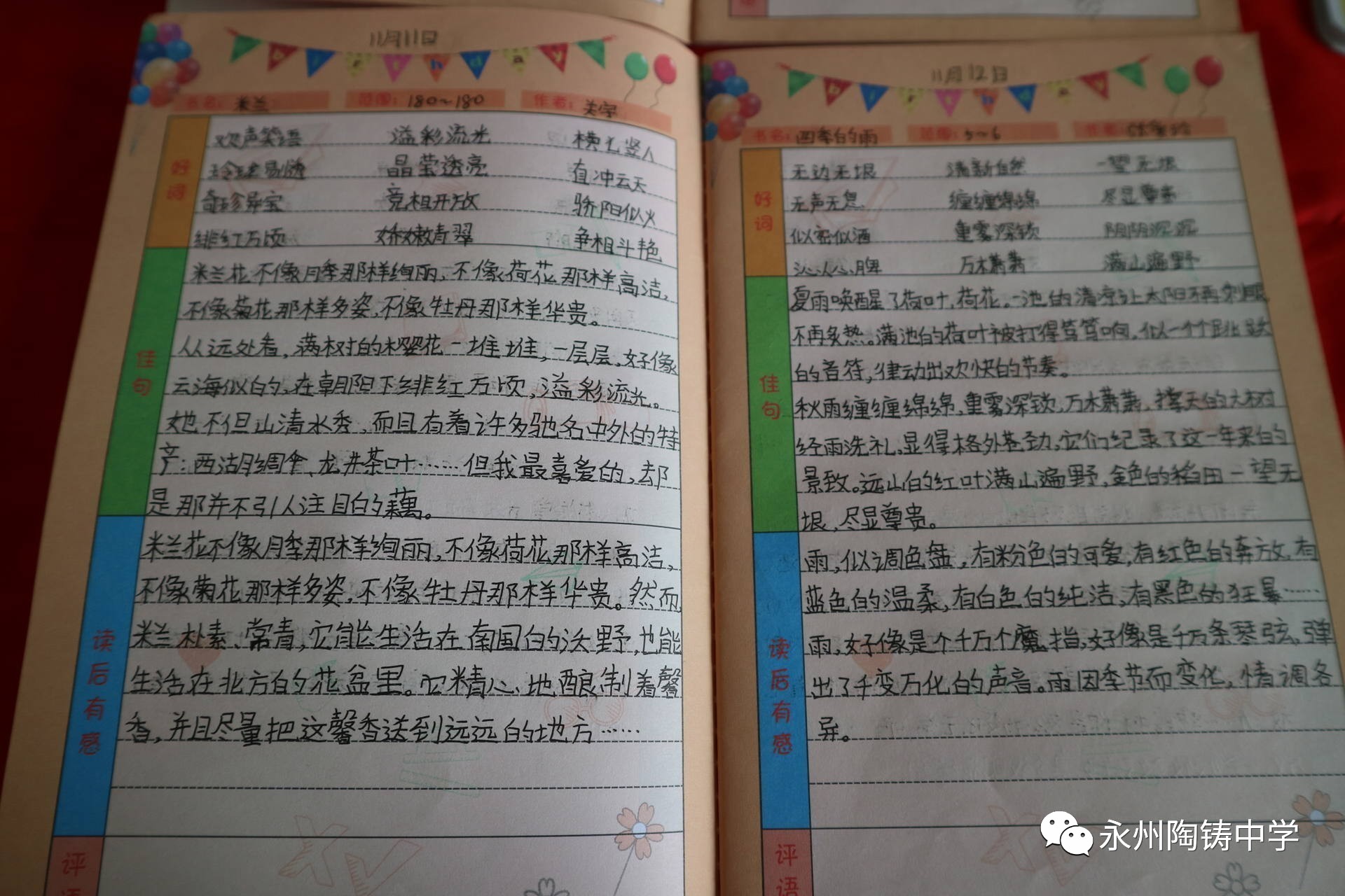 不动笔墨不读书之"我的阅读笔记"丨记陶铸中学小学部"