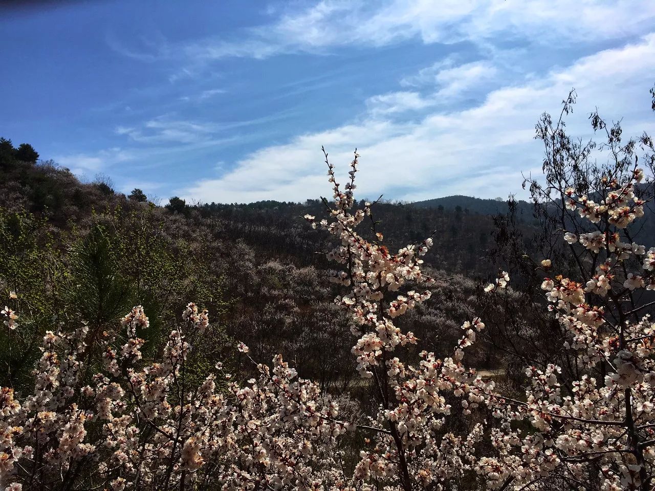 喜报| 河北承德塞罕坝林场建设者获"地球卫士奖"