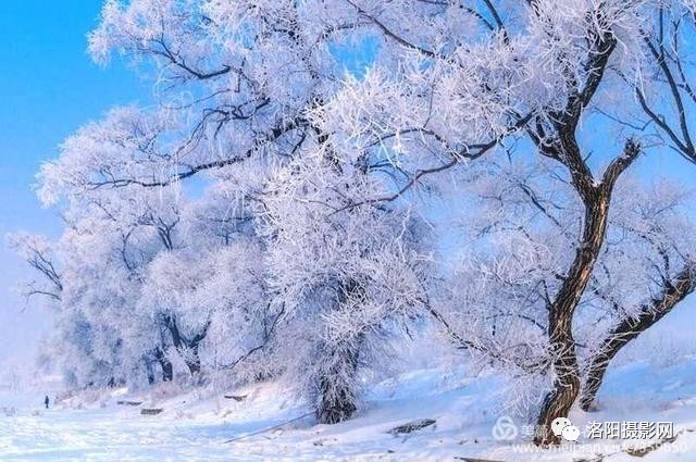 畅享北国冰雪,银妆素裹的山乡",白雪皑皑雪山,童话般