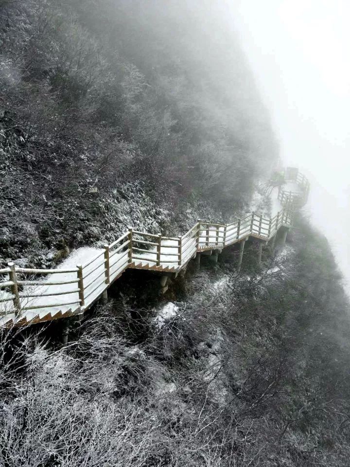 万源人,约起走——八台山今日大雪纷飞,下大雪啦!