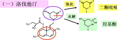 药物化学丨调血脂药及抗动脉粥样硬化药