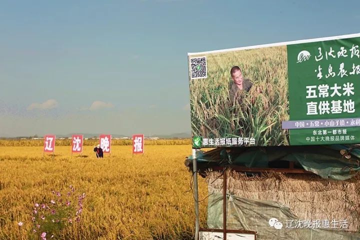 精选食材 国家地理标志保护产品-五常大米(图3)