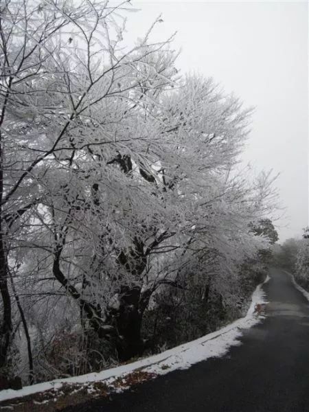 猫儿山雪景   :新浪博主/木木零