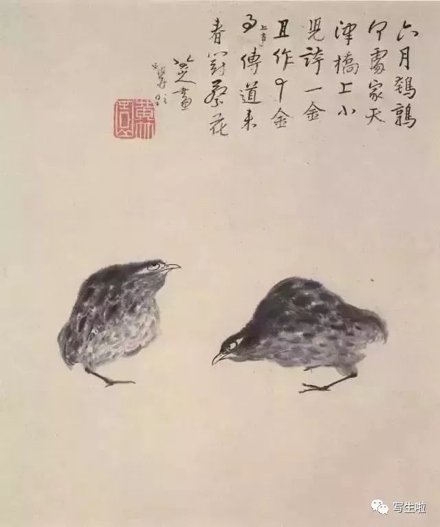 【经典】凭一"白眼"独步古今——八大山人水墨画