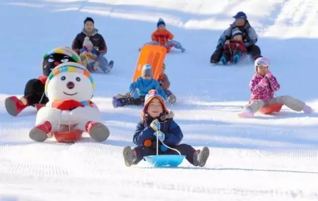 小白可以在这里学习到最专业的滑雪动作和技巧 还能在冰雪乐园里开心