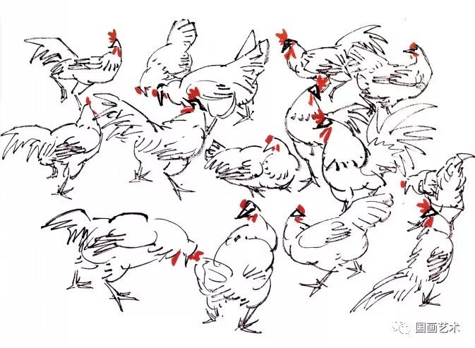 教学视频徐湛老师教你画大鸡