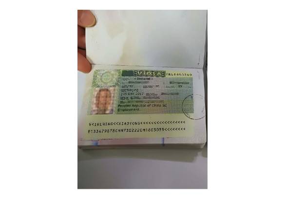 斯坦恩移民爱尔兰项目客户顺利获得D类签证 