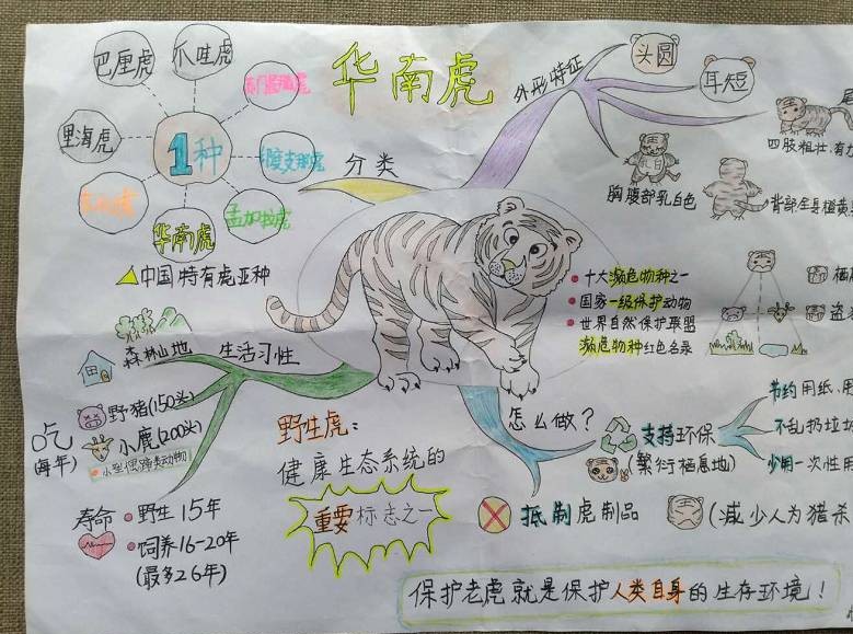 思维图来自第一期小小讲解员学员点击原文阅读进入查看过往活动培训