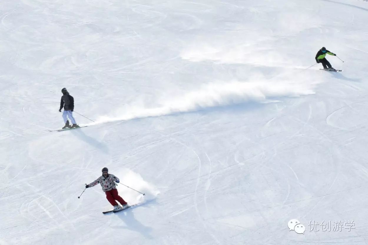 pg电子官网：优知识 ｜ 雪语者——滑雪术语简介(图3)