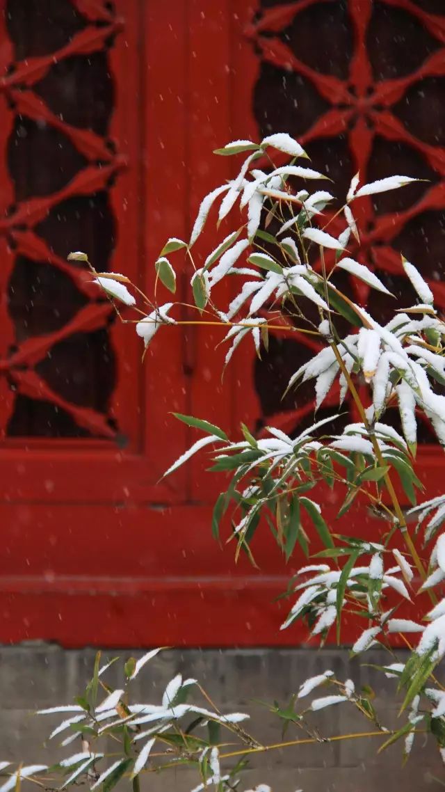 晚来天欲雪,能饮一杯无