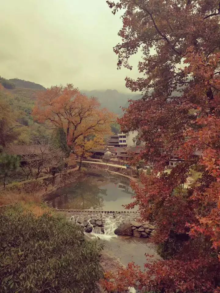 拍摄地:大若岩银泉村 摄影地:大若岩白泉村 摄影地:永嘉岩龙古村 拍摄