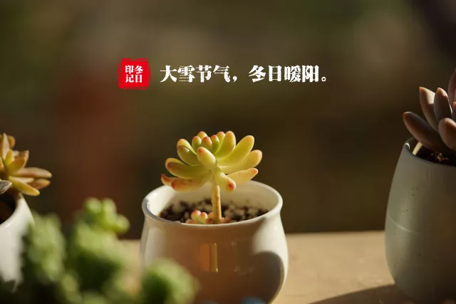 图片来自潮茶舍 " 大雪节气, 一节三候.