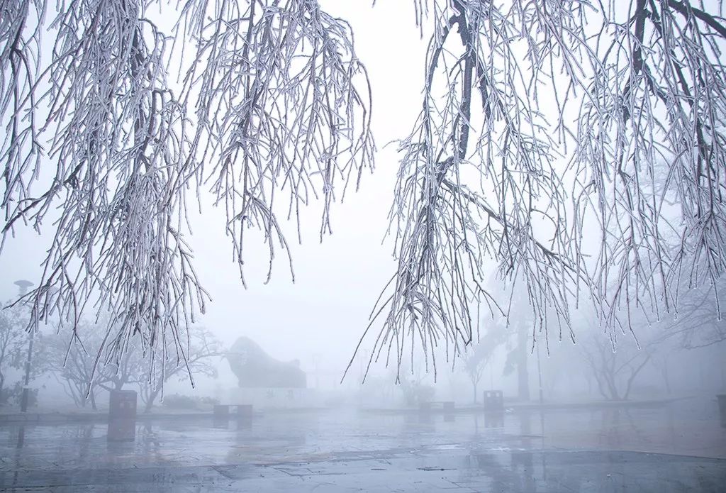 大雪:寒风迎大雪,银装裹世界!