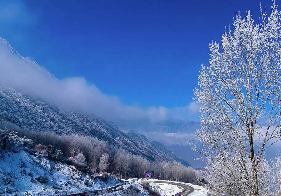 下雪啦!四川这12个地方承包了最美雪景,秒杀北方!