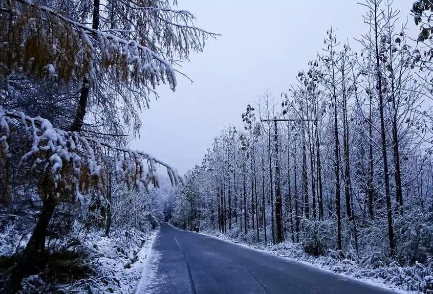 下雪啦!四川这12个地方承包了最美雪景,秒杀北方!