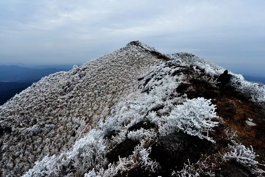 以上雪景图片拍摄:李国潮拍摄地点:梁野山此时节,天气更冷注意头部