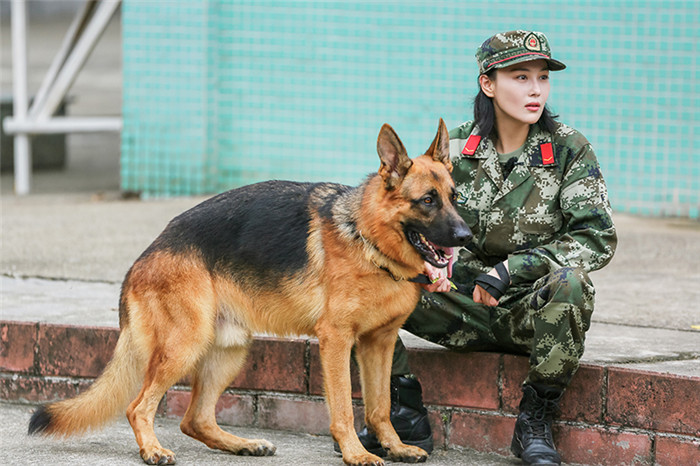 奇兵神犬高萌幼犬亮相杨烁姜潮遇丢犬危机