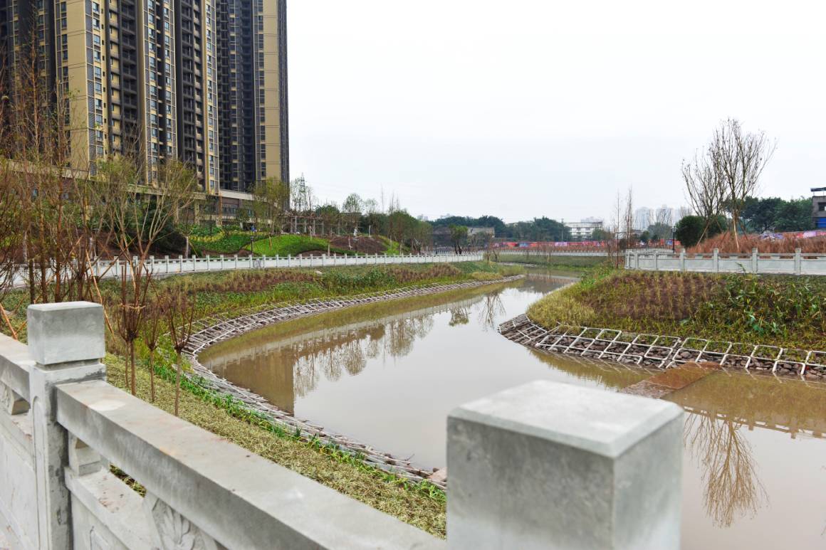 水清岸绿！九龙坡跳磴河入选重庆市首届生态保护修复十大案例_跳蹬河