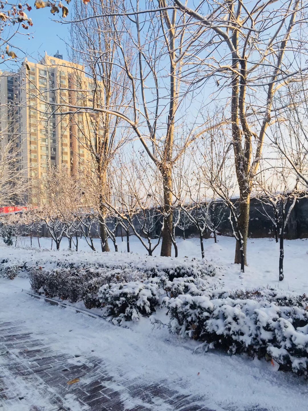 正文  一觉醒来, 窗外已白雪一片, 烟台仿佛进入童话世界, 下雪天你最