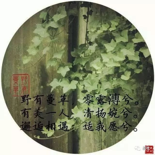 松社读库诗经越古老越美好