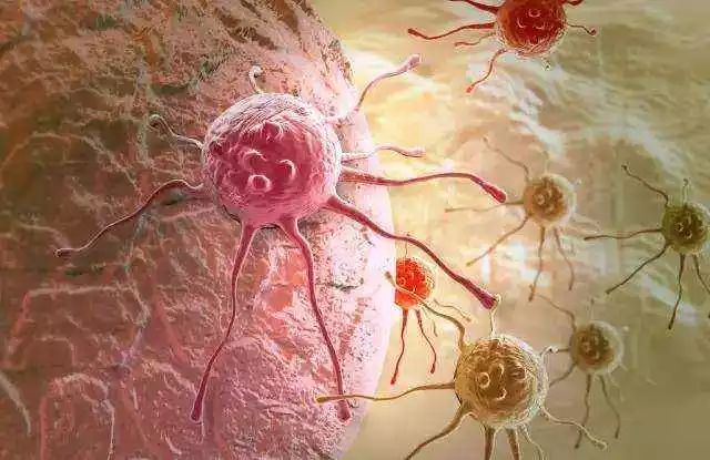 癌细胞的发展史