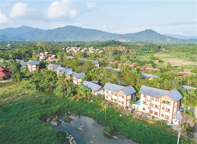 保亭什进村依托大区小镇思路打造秀美乡村 农旅结合村庄变景区