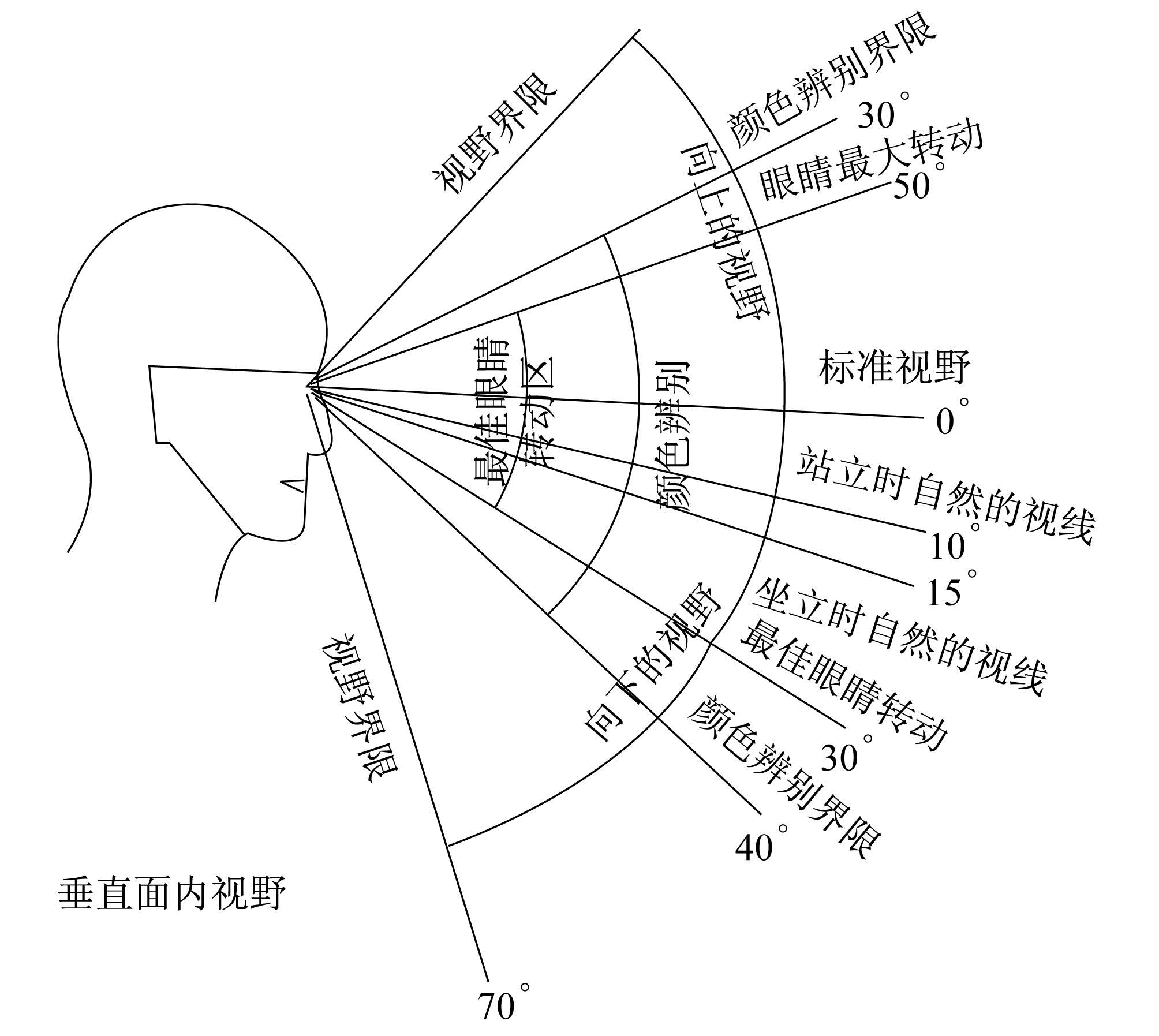 正常人的视力范围比视野要小,因为视力范围是要求能迅速,清晰地看清