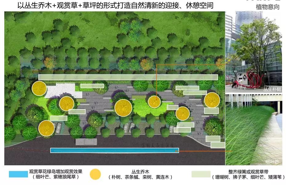 万州将建一个迎宾广场?在哪儿?