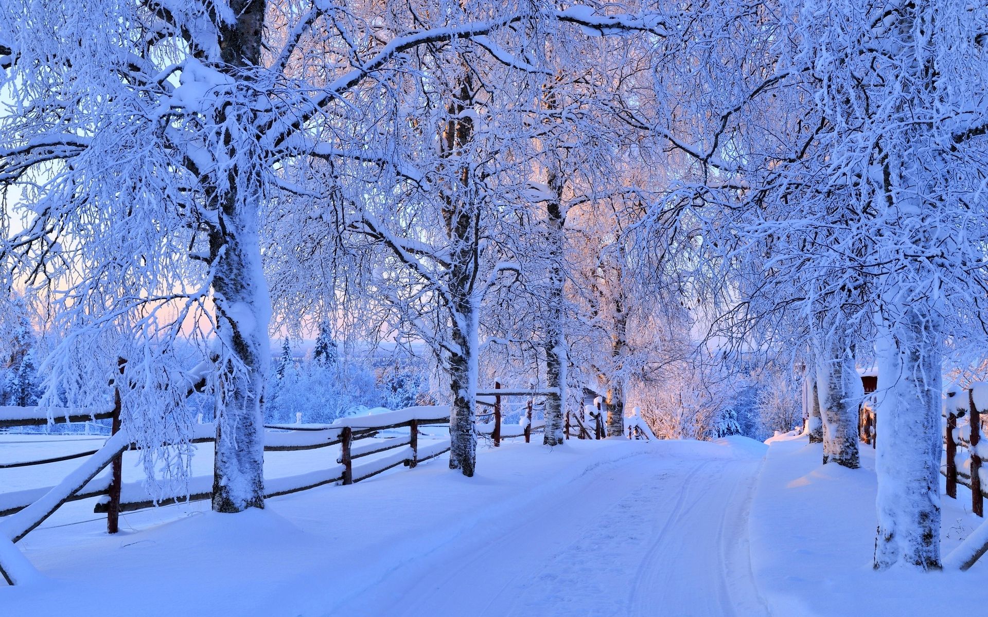 什么什么什么雪成语大全_雪图片大全大图