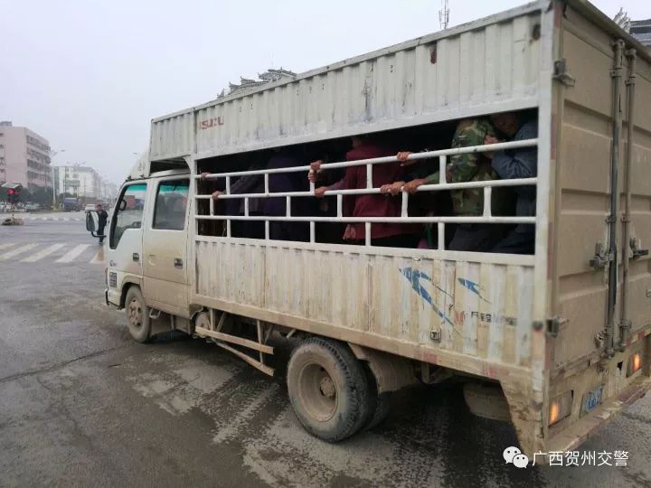 摘果人挤满车厢,富川小货车秒变大客车,竟然载了.