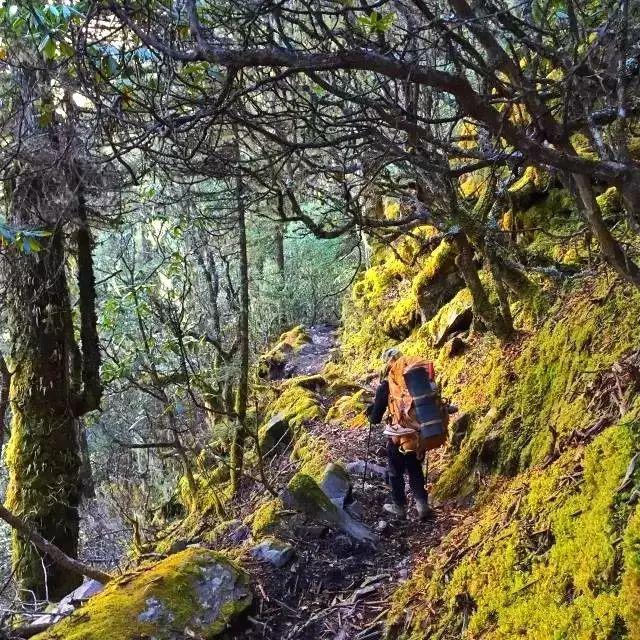 云南甲应村,只有四户人家的隐居之地!