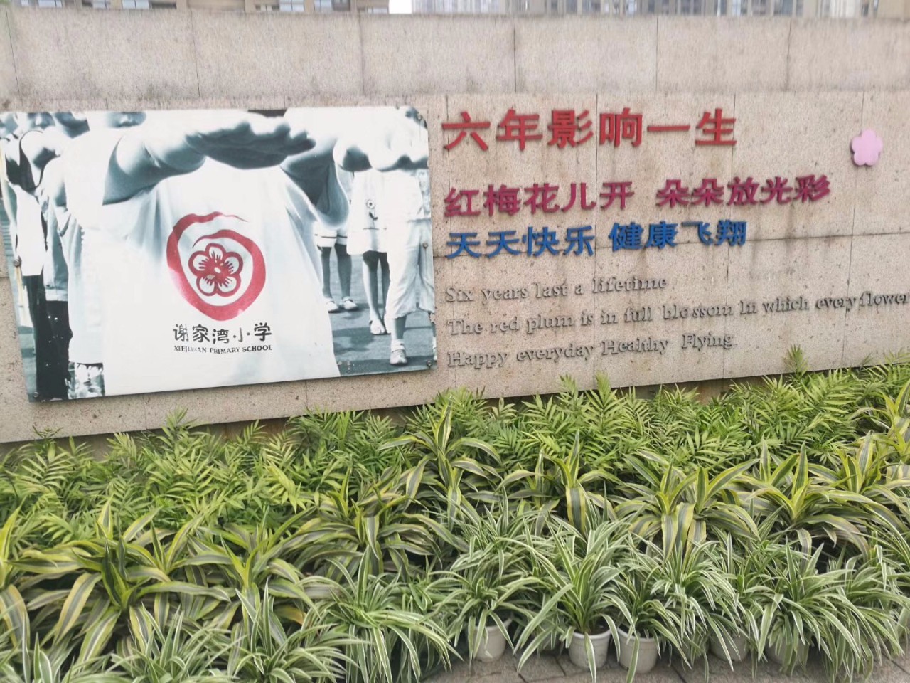 名校考察—走进重庆名校重庆谢家湾小学