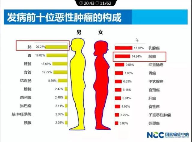 中国肺癌男性发病率中居首位,女性发病率中居第二位.